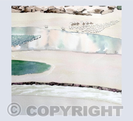 Sea birds at low tide