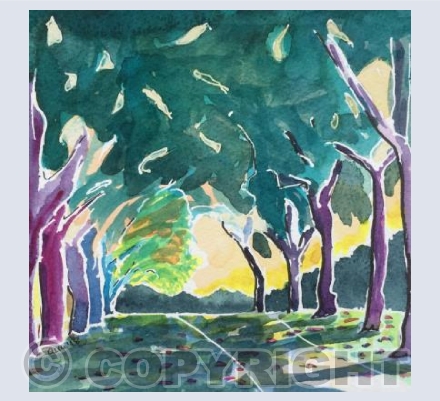 Avenue Trowbridge Park