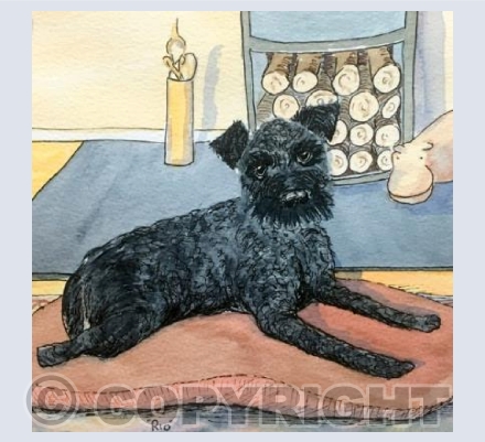 Rio - making a house a home