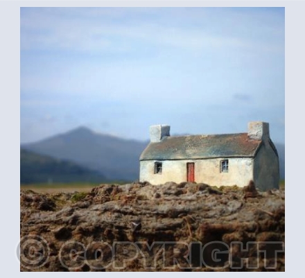 Yr Wyddfa ~ Snowdon