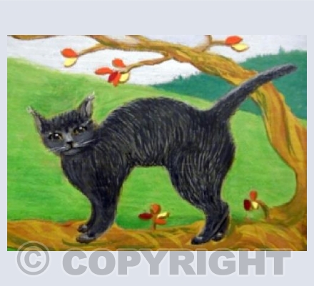 Black Cat 