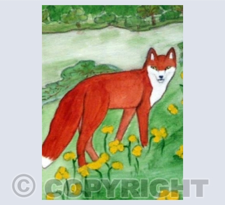 Fox by River
