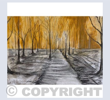 Charcoal pathway 