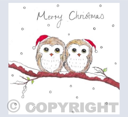 Cute Merry Christmas owls 