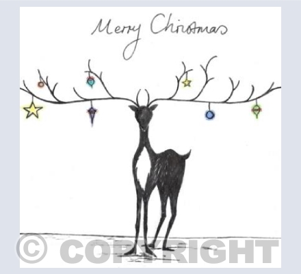 Reindeer with colourful antlers