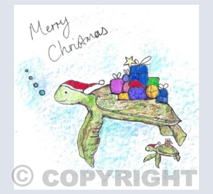Have a turtlely awesome christmas! 