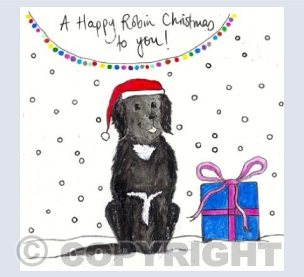 Happy Christmas from Robin The Fluffy Dog 