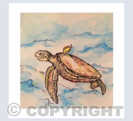 Tony the Turtle 