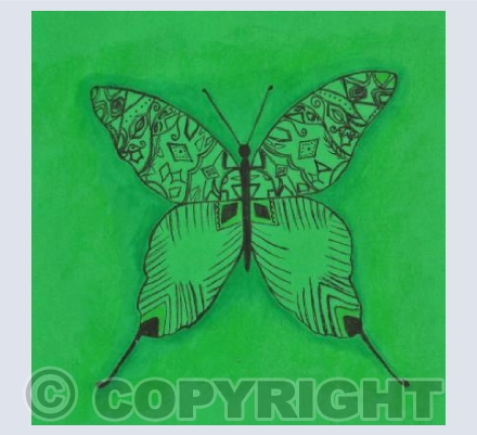 Green Arbonne Butterfly 