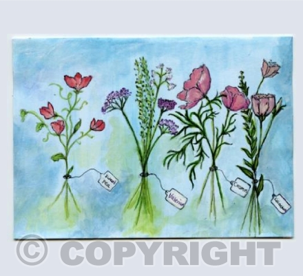 Wild selection of flowers