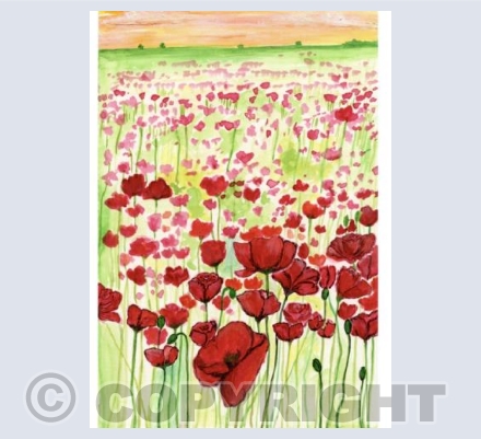 Poppies at Badbury Rings 