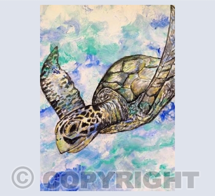 Sri Lankan Turtle