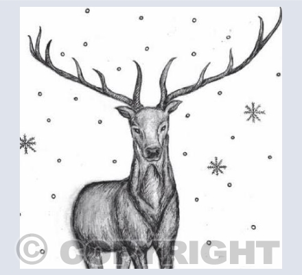 Majestic Reindeer