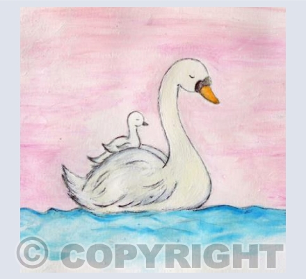 Cute swans 