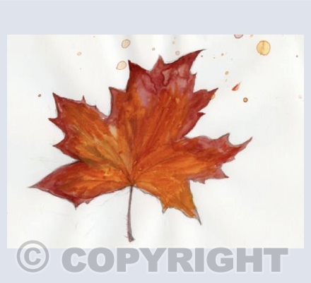 Autumn leaf 