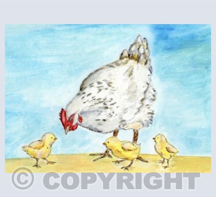 Cute Chicken Family 