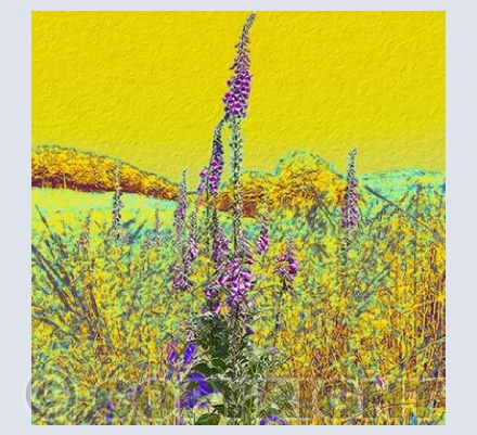 Digital(is) & Vincent Van Gogh's 'Yellow' Period.