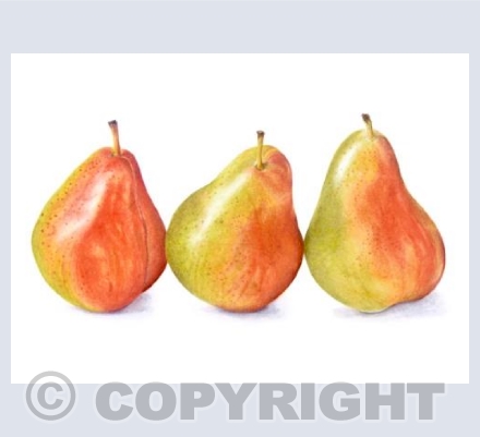 three pears