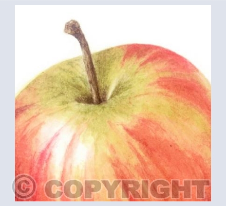 three apples (detail 1)