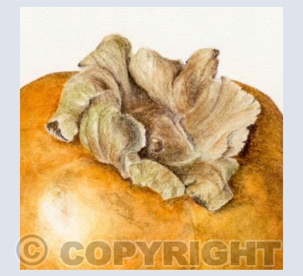 sharon fruit (detail 1)