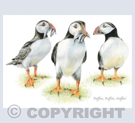 Puffin, Puffin, Nuffin'