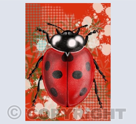 Ladybird - Red