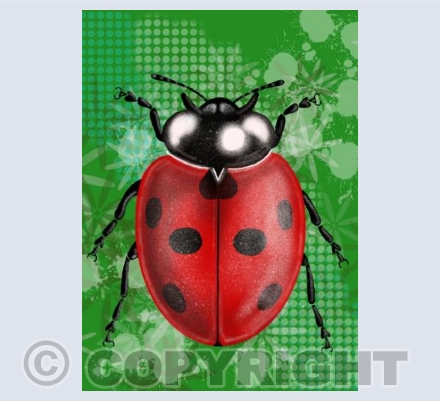 Ladybird - Green