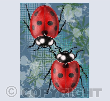Ladybirds - Blue