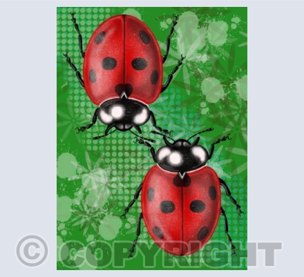 Ladybirds - Green