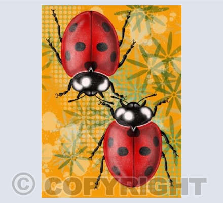 Ladybirds - Orange