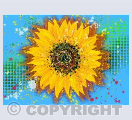 Sunflower - Blue