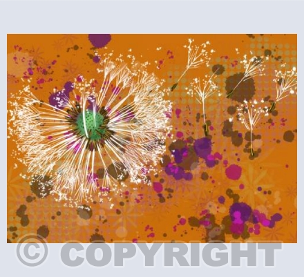 Make a Wish - orange