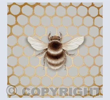 Honeycomb Bee
