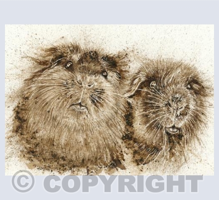 The Guinea Pigs