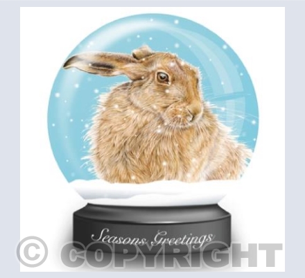 Hare Snow Globe