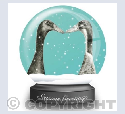 Runner Ducks Snow Globe