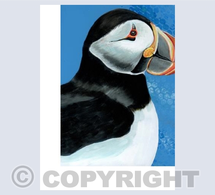 Puffin