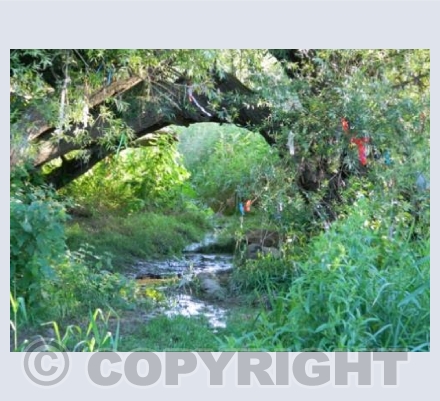 Swallowhead Springs, Avebury