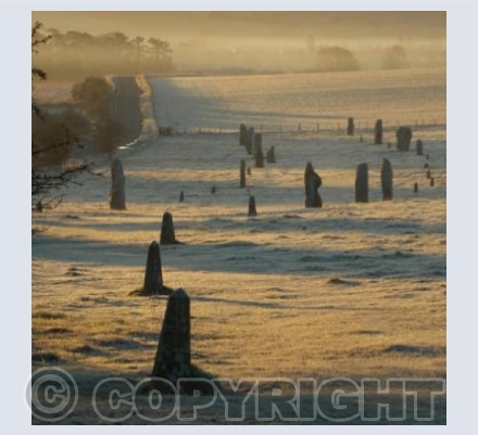 Avebury Avenue