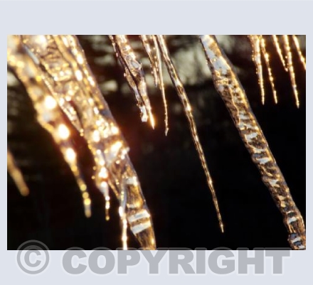 Icicles 4