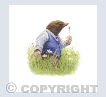 Mole Walking in the Meadow
