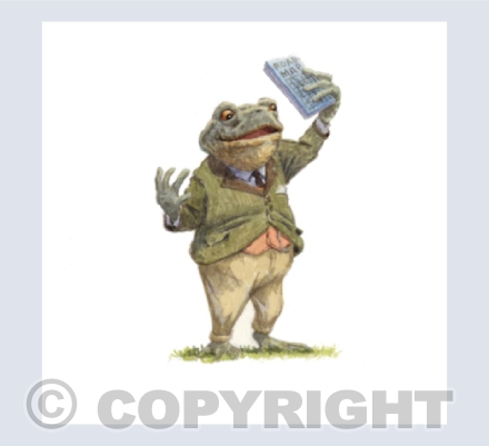 Toad With a Map