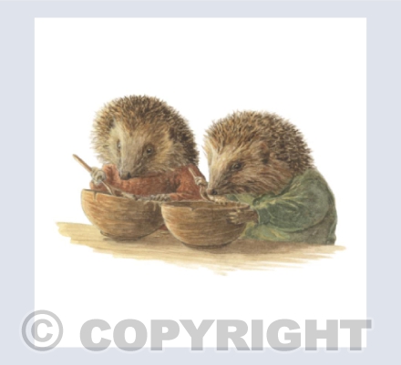 Young Hedgehogs
