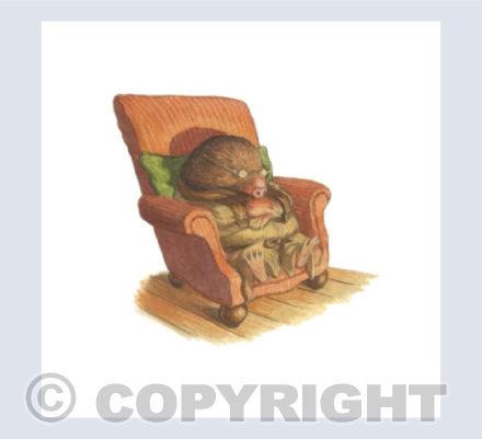 Mole Dozing