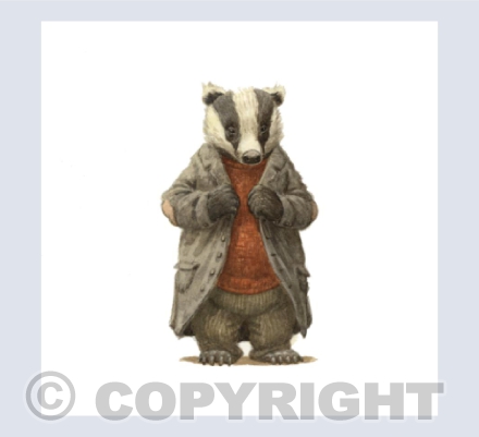 Mr Badger
