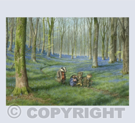 Bluebells in West Woods