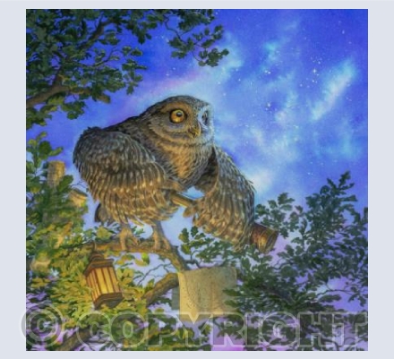 Twinkle Twinkle Little Star