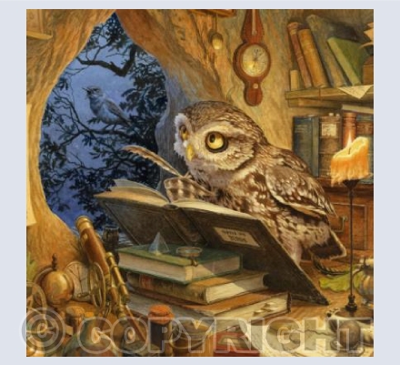 A Wise Old Owl