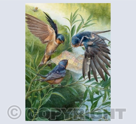 Three Swallows