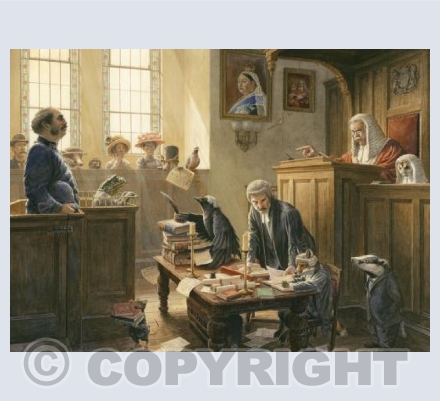 Mr Toad In Court